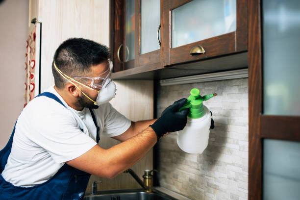 Best Rat Extermination Near Me  in Ramsey, MN