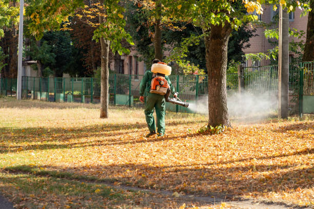 Best Best Pest Control Companies  in Ramsey, MN