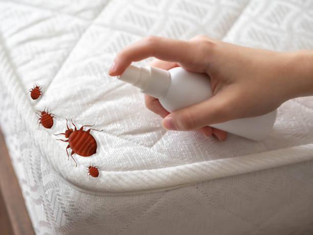 Professional Pest Control in Ramsey, MN