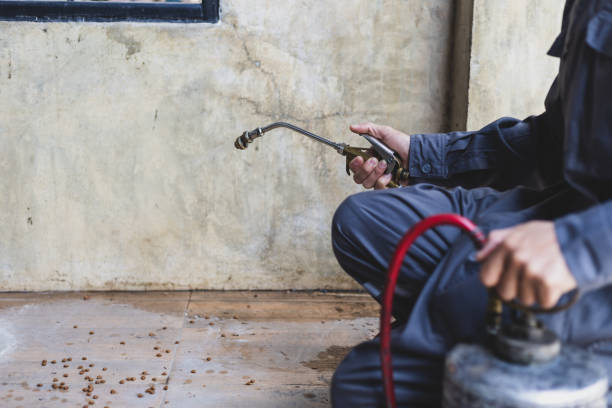 Best Affordable Exterminators  in Ramsey, MN